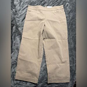 Time and Tru Tan Capri Pants